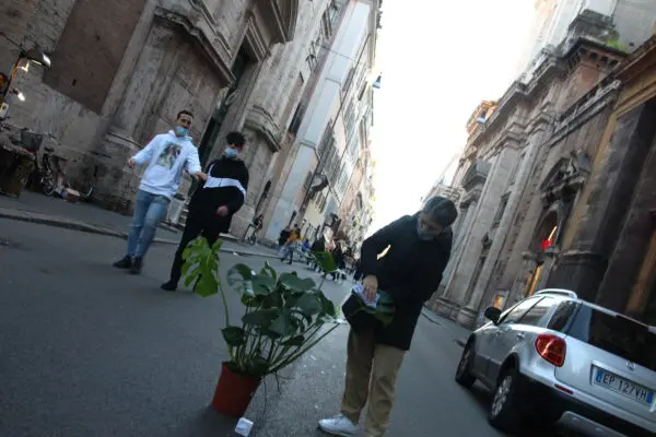 Pop Gardening with Guilia Mattera